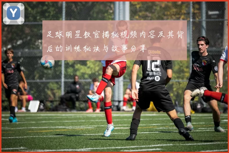 足球明星教官揭秘视频内容及其背后的训练秘诀与故事分享
