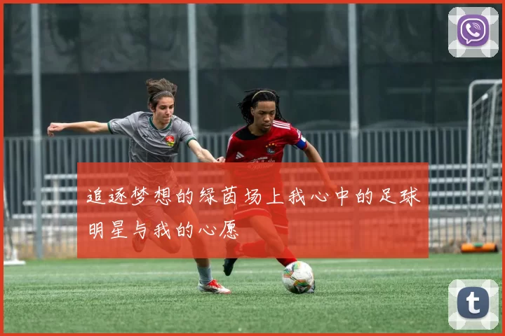 追逐梦想的绿茵场上我心中的足球明星与我的心愿