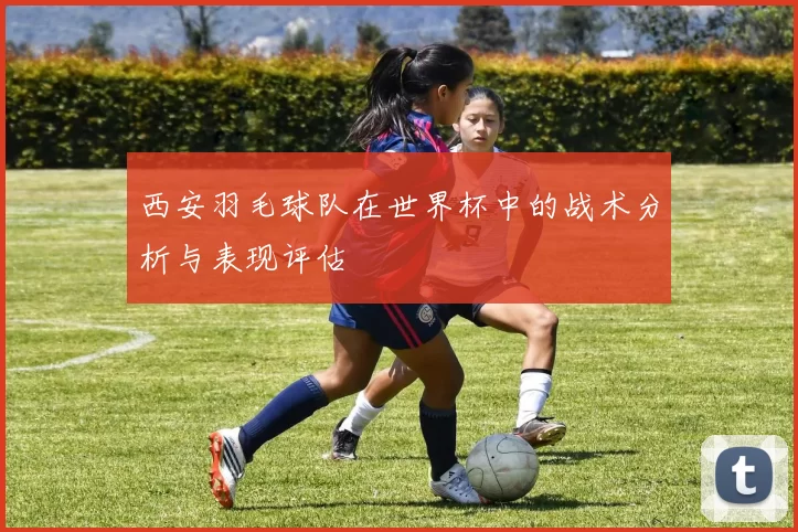 西安羽毛球队在世界杯中的战术分析与表现评估