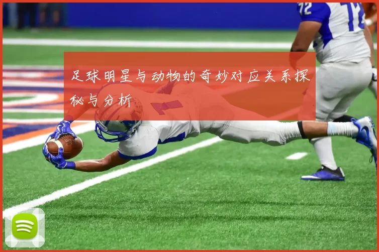 足球明星与动物的奇妙对应关系探秘与分析
