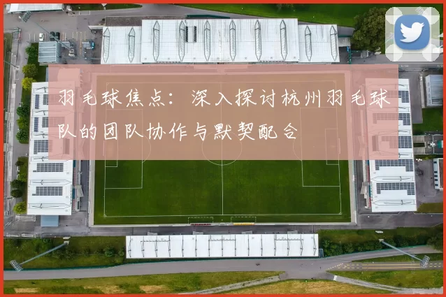 羽毛球焦点：深入探讨杭州羽毛球队的团队协作与默契配合