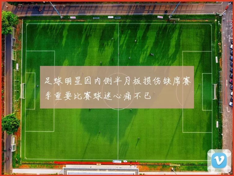 足球明星因内侧半月板损伤缺席赛季重要比赛球迷心痛不已