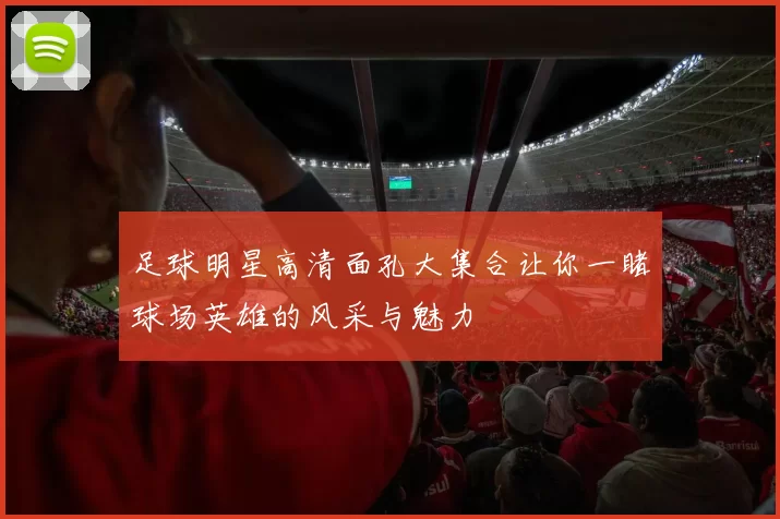 足球明星高清面孔大集合让你一睹球场英雄的风采与魅力