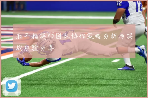 和平精英V5团队协作策略分析与实战经验分享