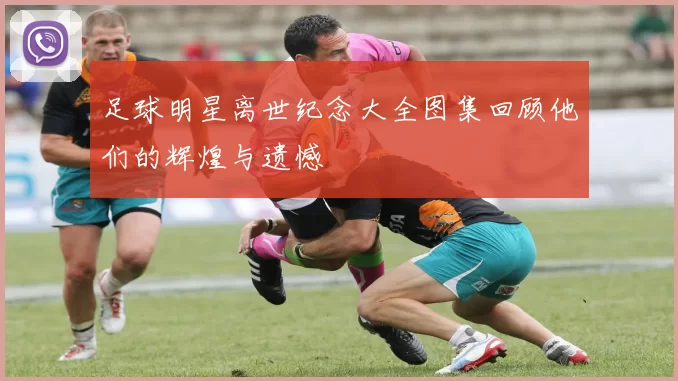 足球明星离世纪念大全图集回顾他们的辉煌与遗憾