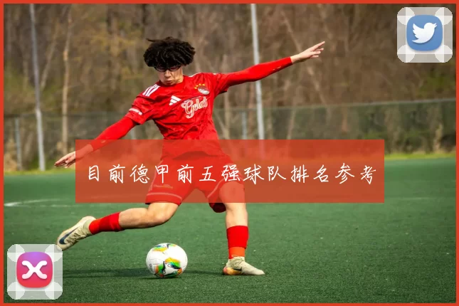 目前德甲前五强球队排名参考