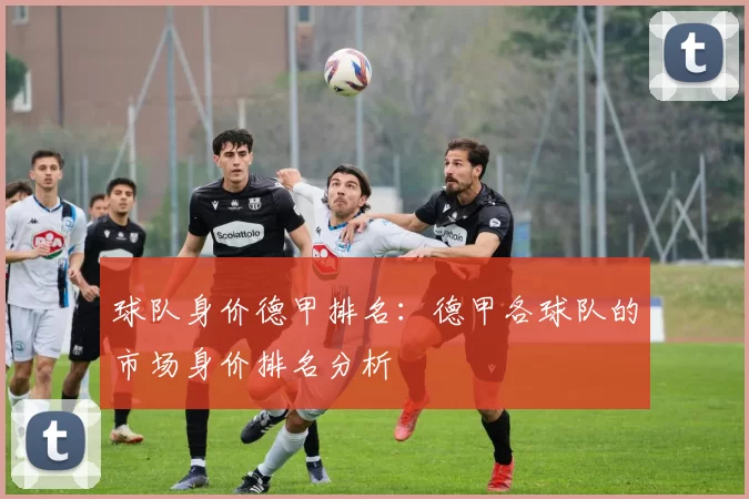球队身价德甲排名：德甲各球队的市场身价排名分析