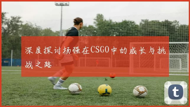 深度探讨杨强在CSGO中的成长与挑战之路