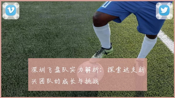 深圳飞盘队实力解析：探索这支新兴团队的成长与挑战