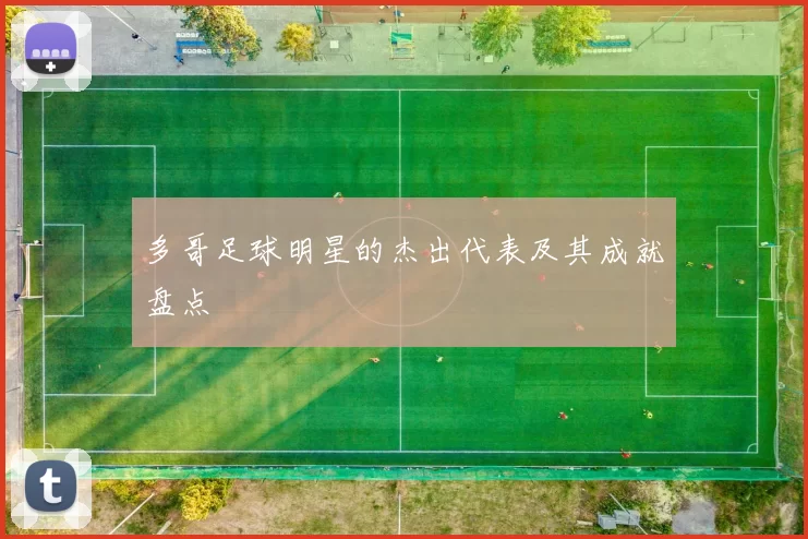 多哥足球明星的杰出代表及其成就盘点