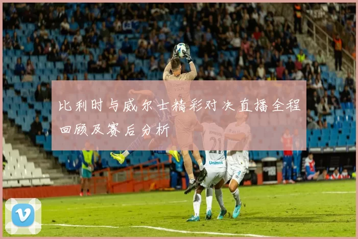 比利时与威尔士精彩对决直播全程回顾及赛后分析