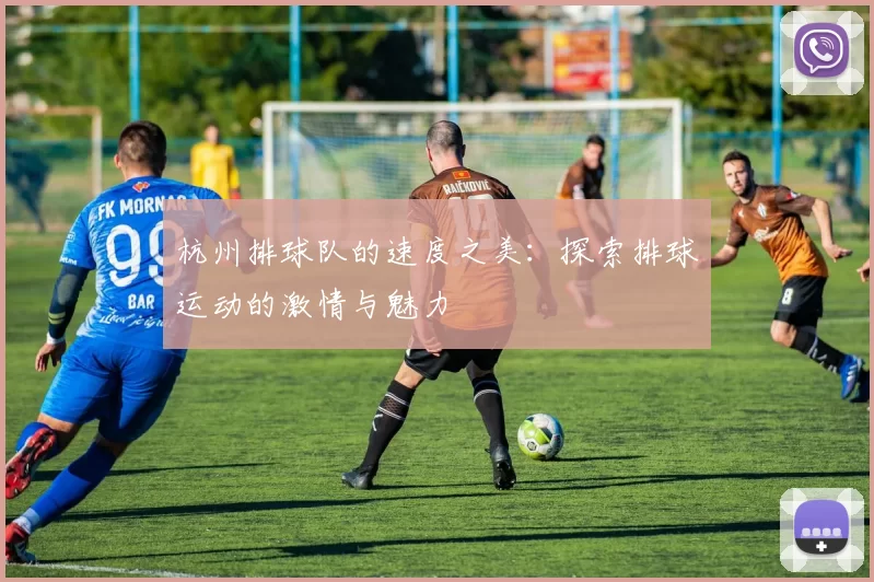 杭州排球队的速度之美：探索排球运动的激情与魅力