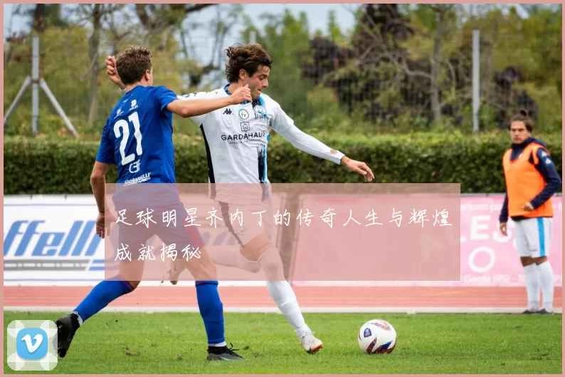 足球明星齐内丁的传奇人生与辉煌成就揭秘