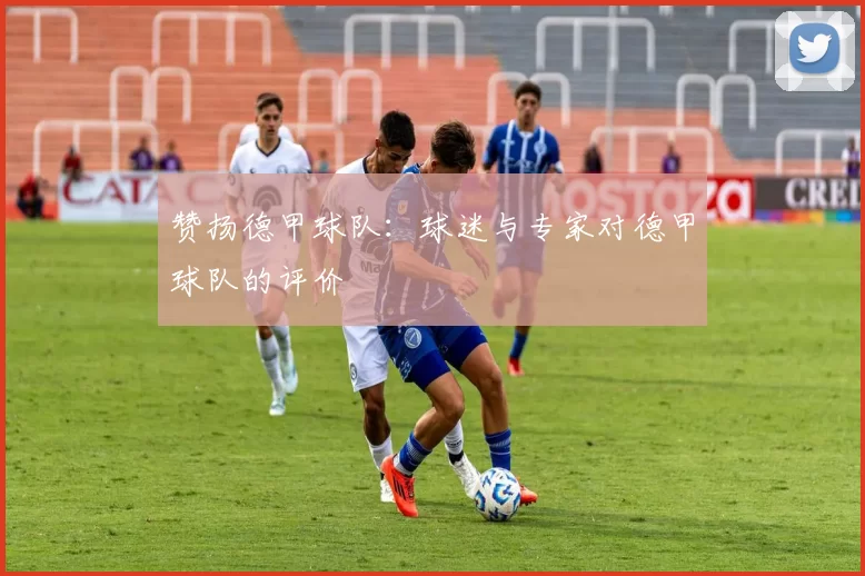 赞扬德甲球队：球迷与专家对德甲球队的评价